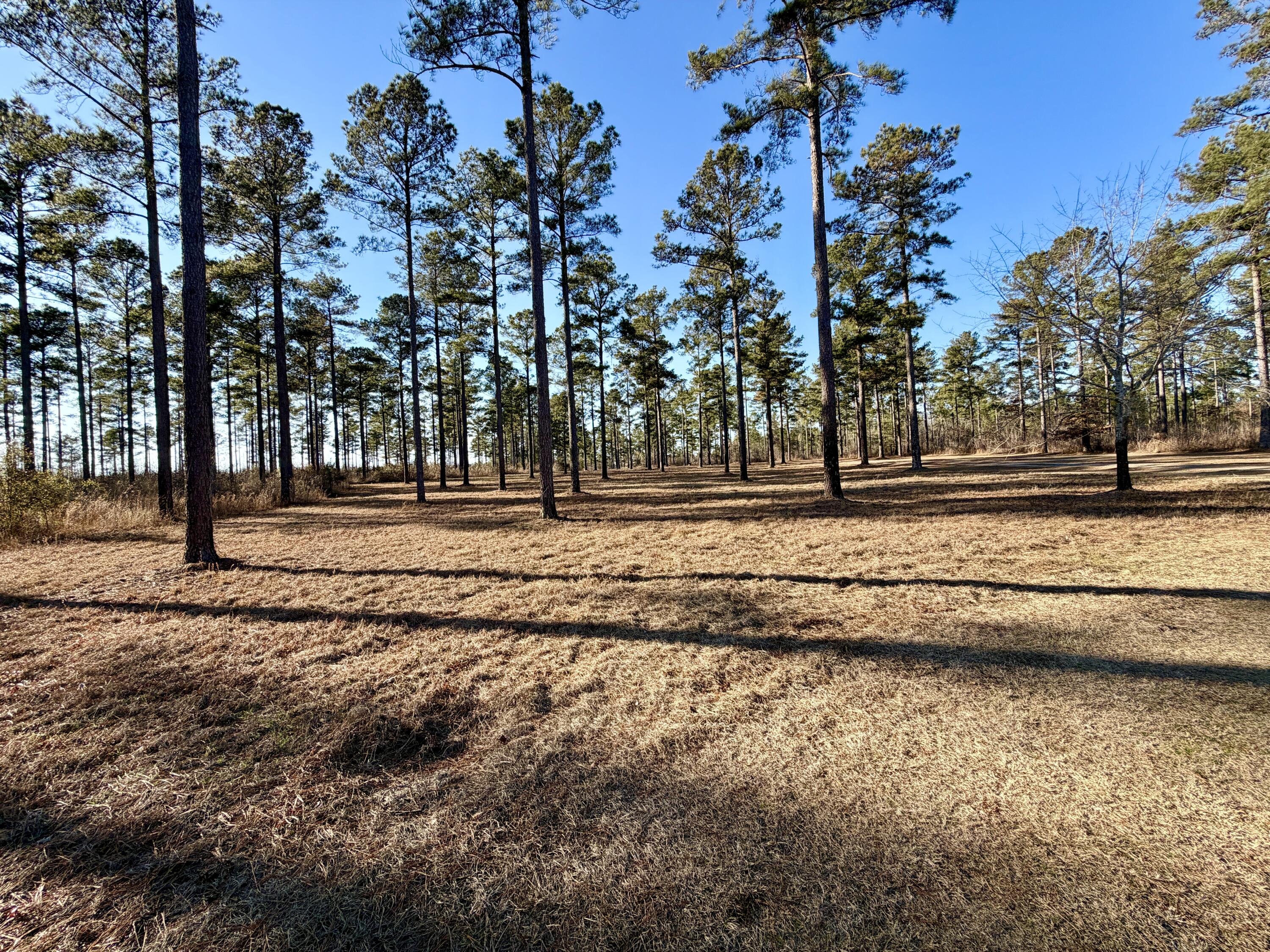 873 Joyner-oglesby Road