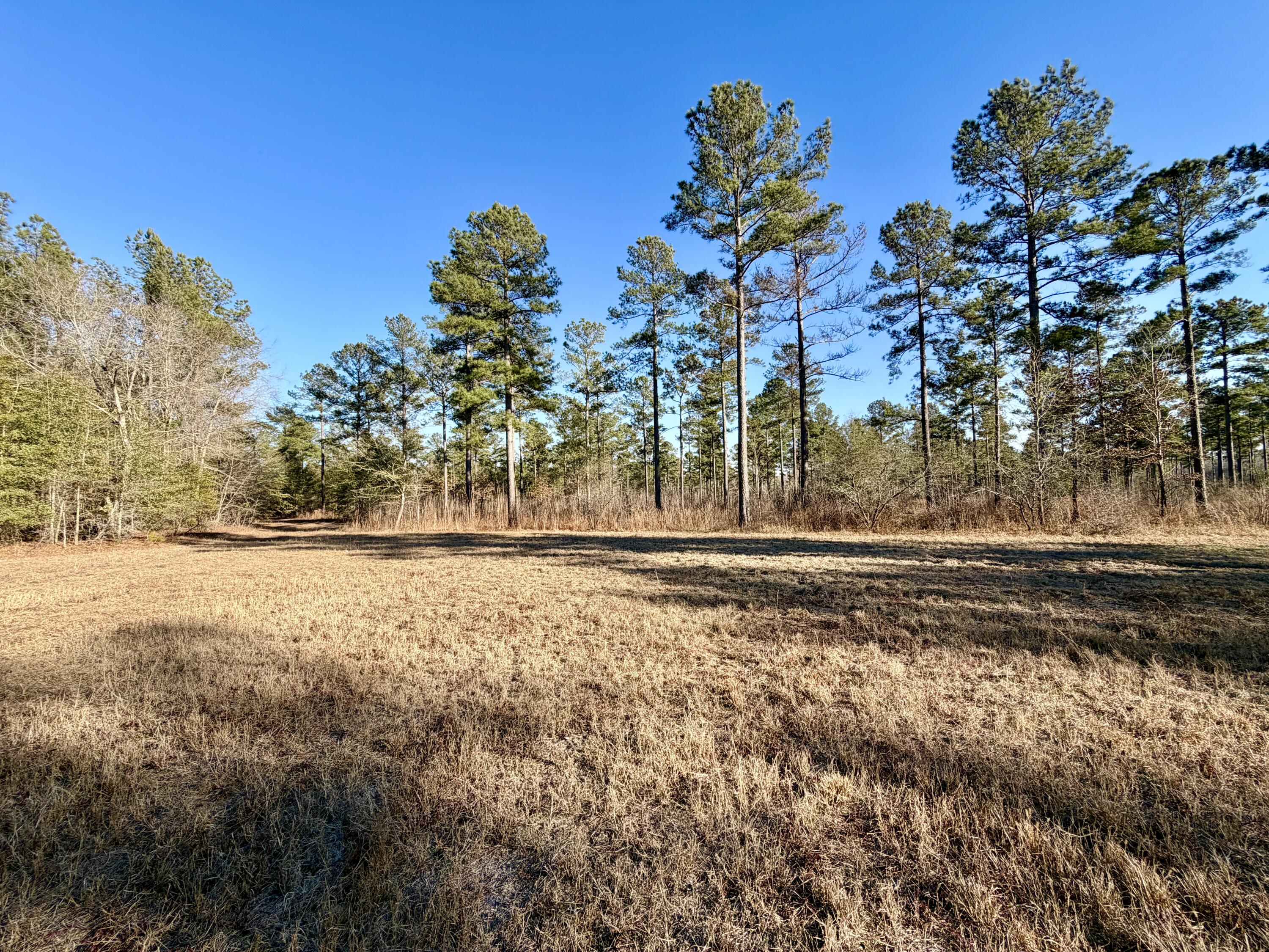 873 Joyner-oglesby Road