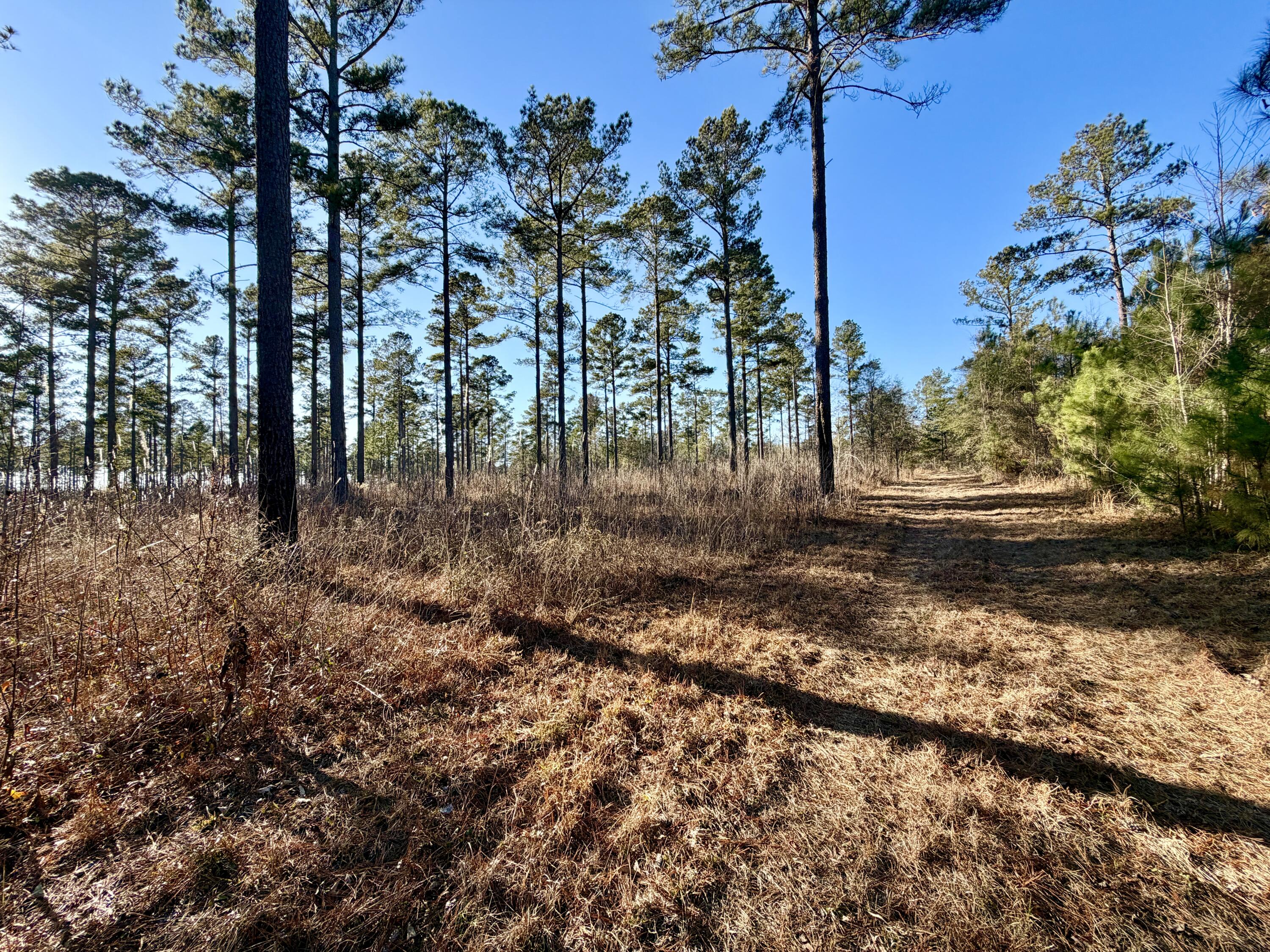 873 Joyner-oglesby Road