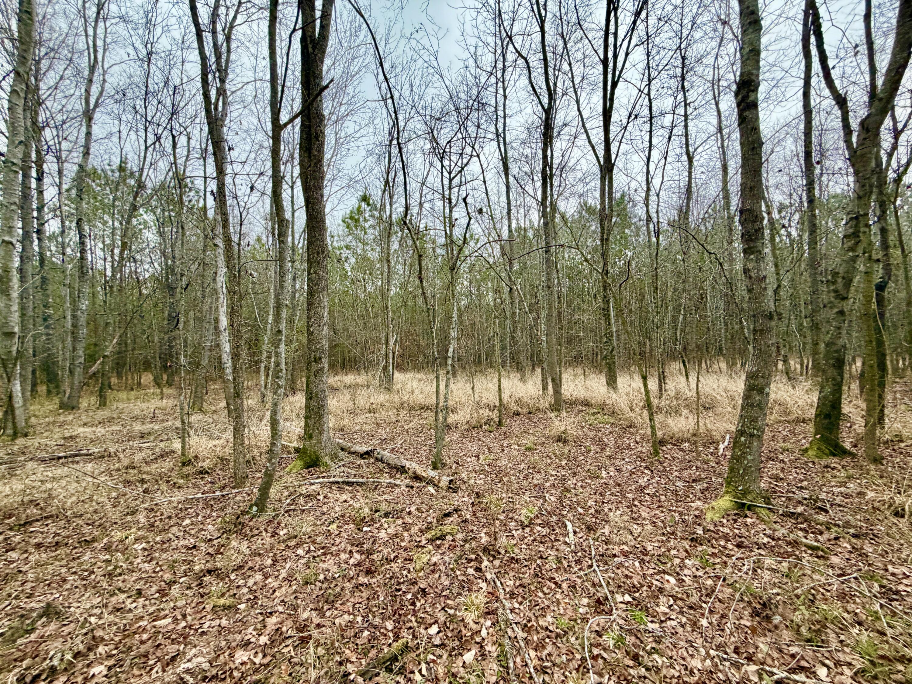 19.3 Acres Ga-305