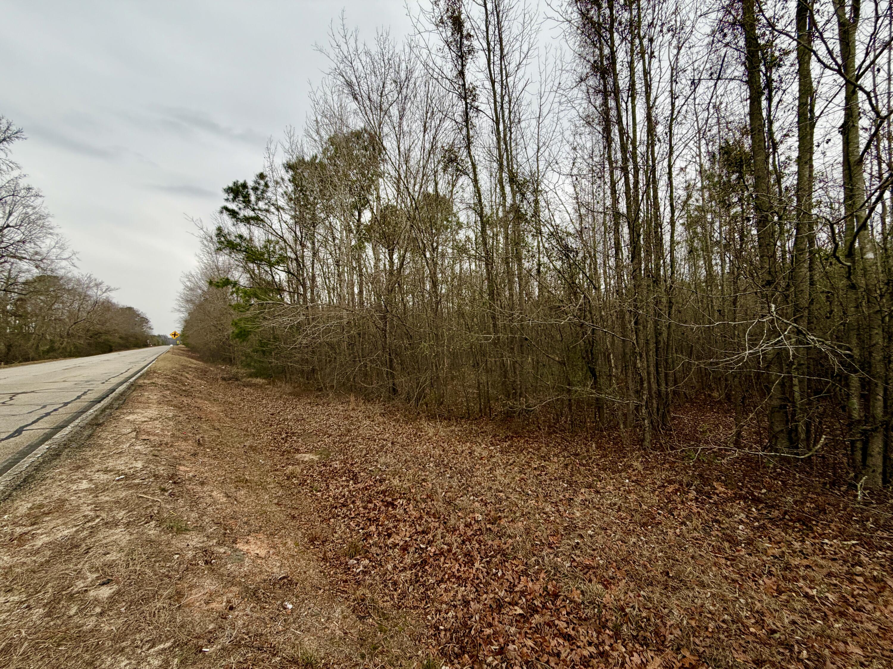 19.3 Acres Ga-305