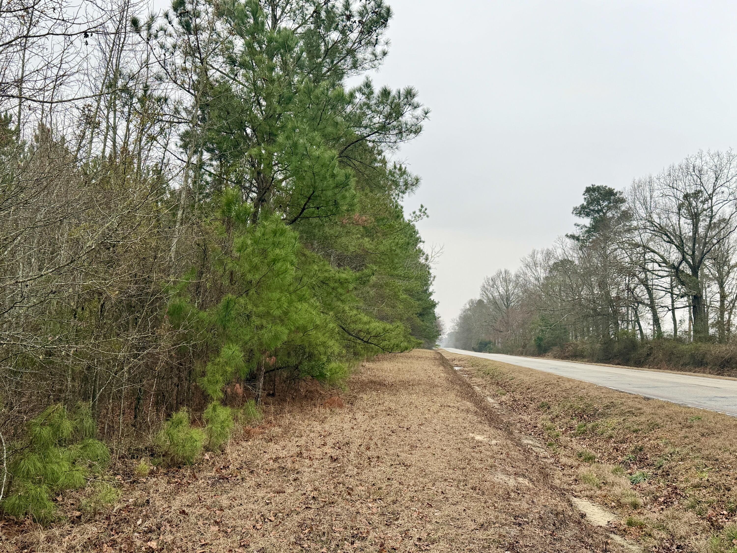 19.3 Acres Ga-305
