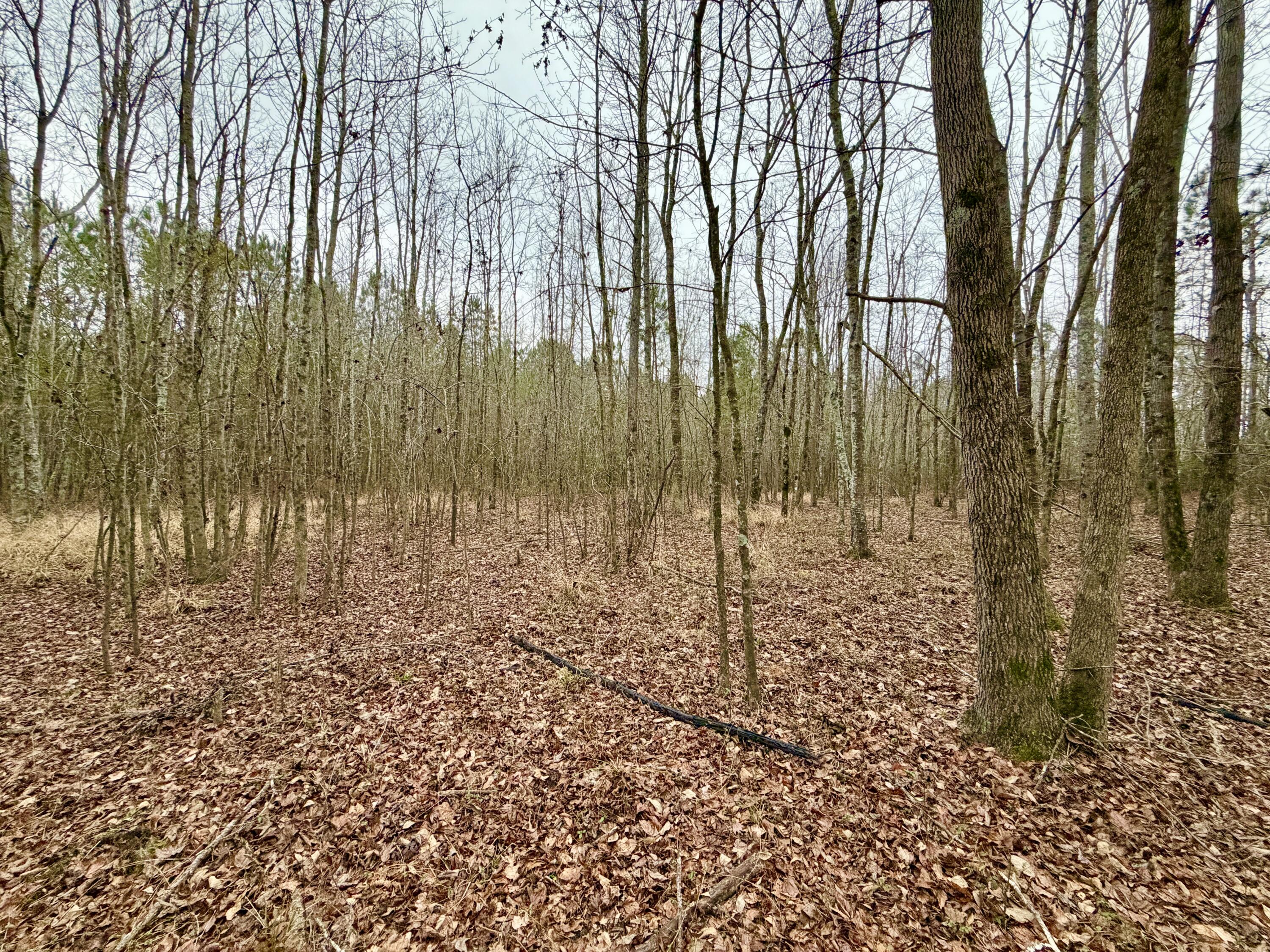 19.3 Acres Ga-305
