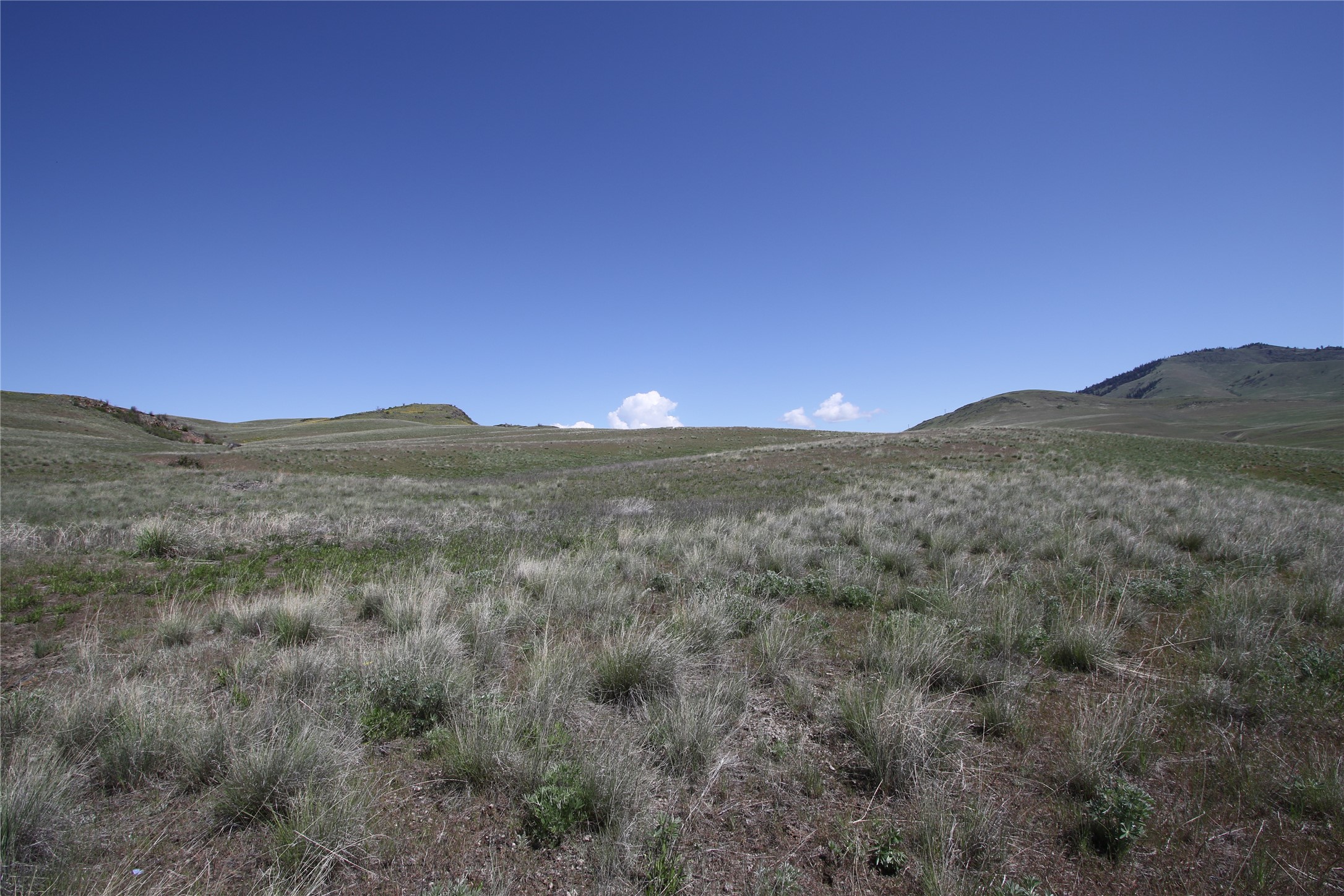 Tract 4 Wilks Gulch Road