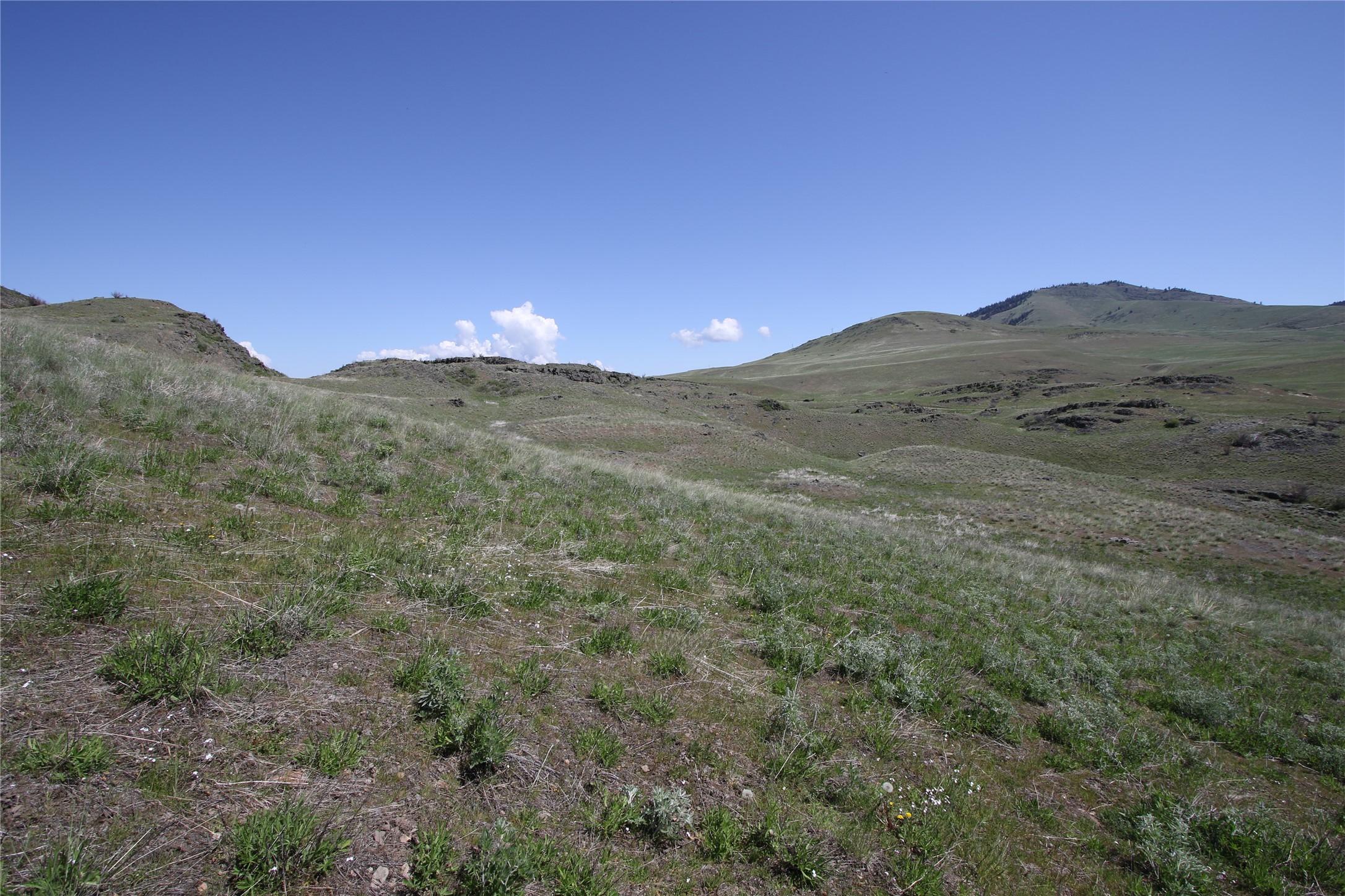 Tract 4 Wilks Gulch Road