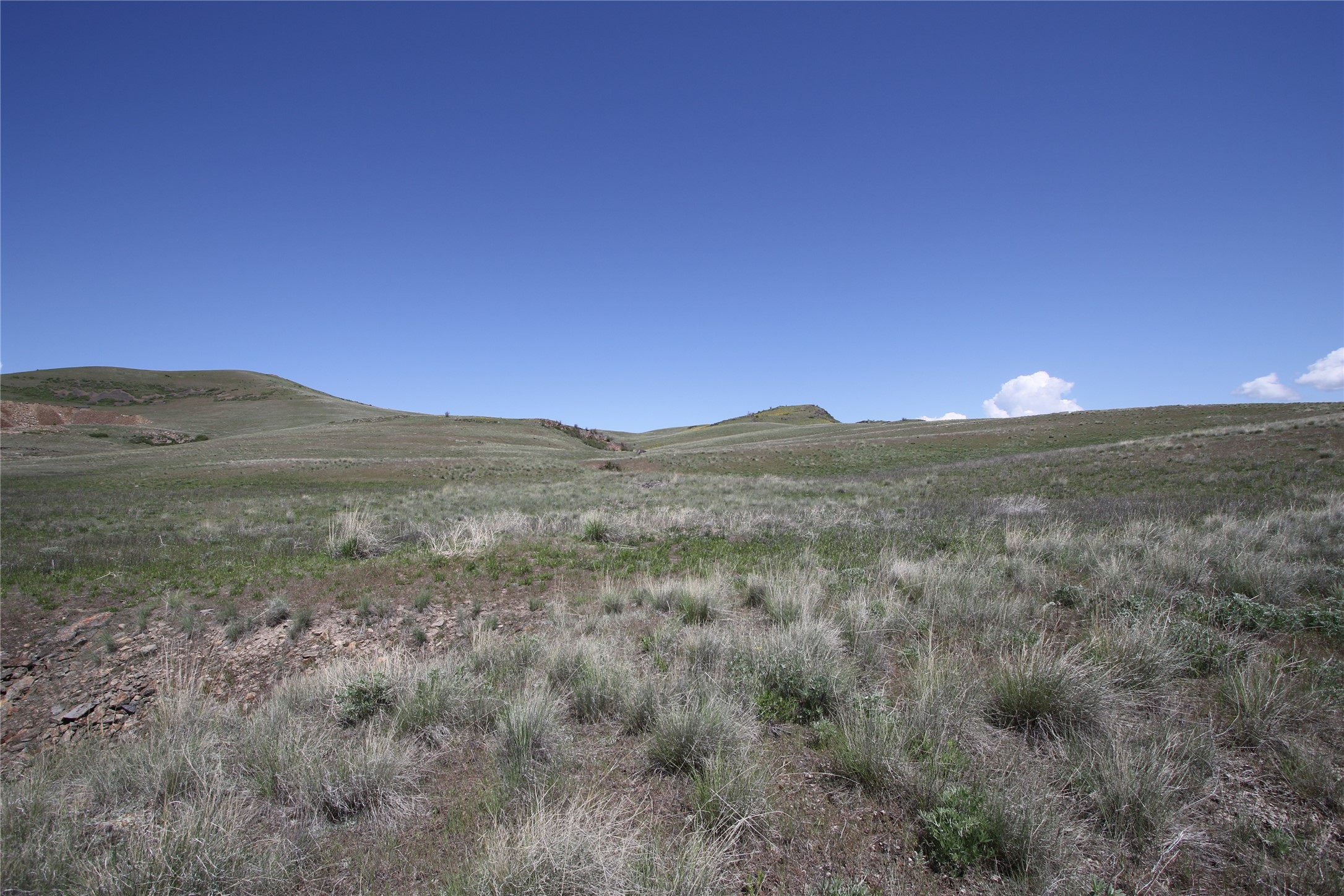 Tract 4 Wilks Gulch Road