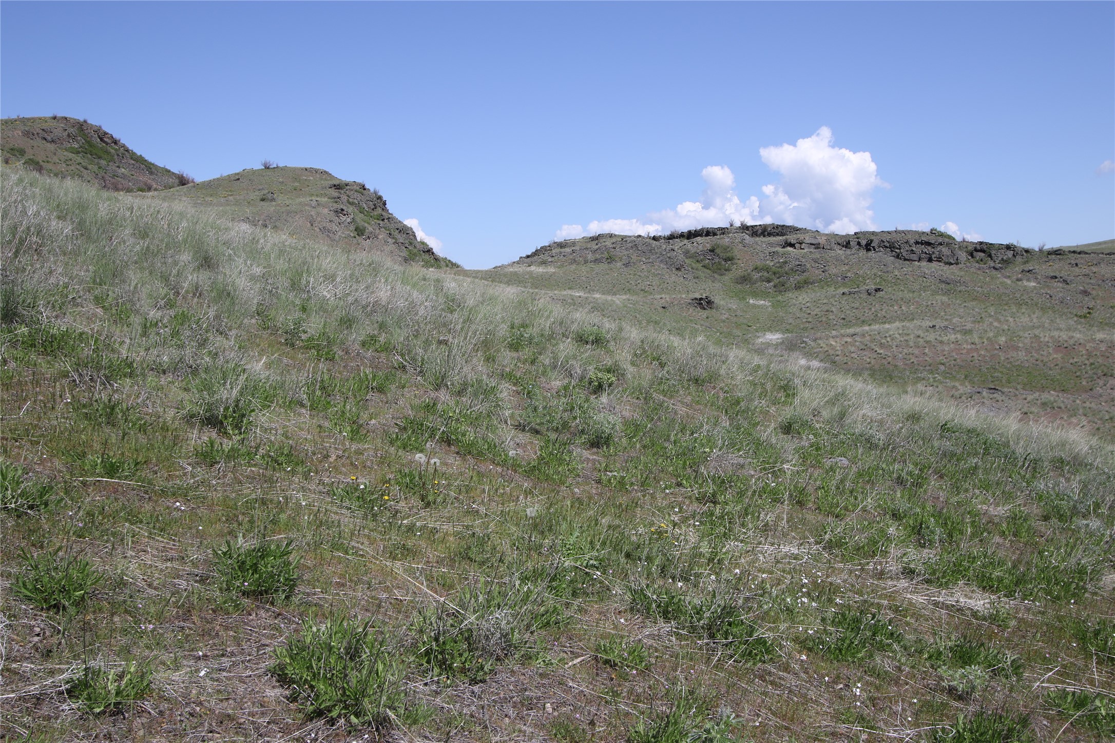 Tract 4 Wilks Gulch Road