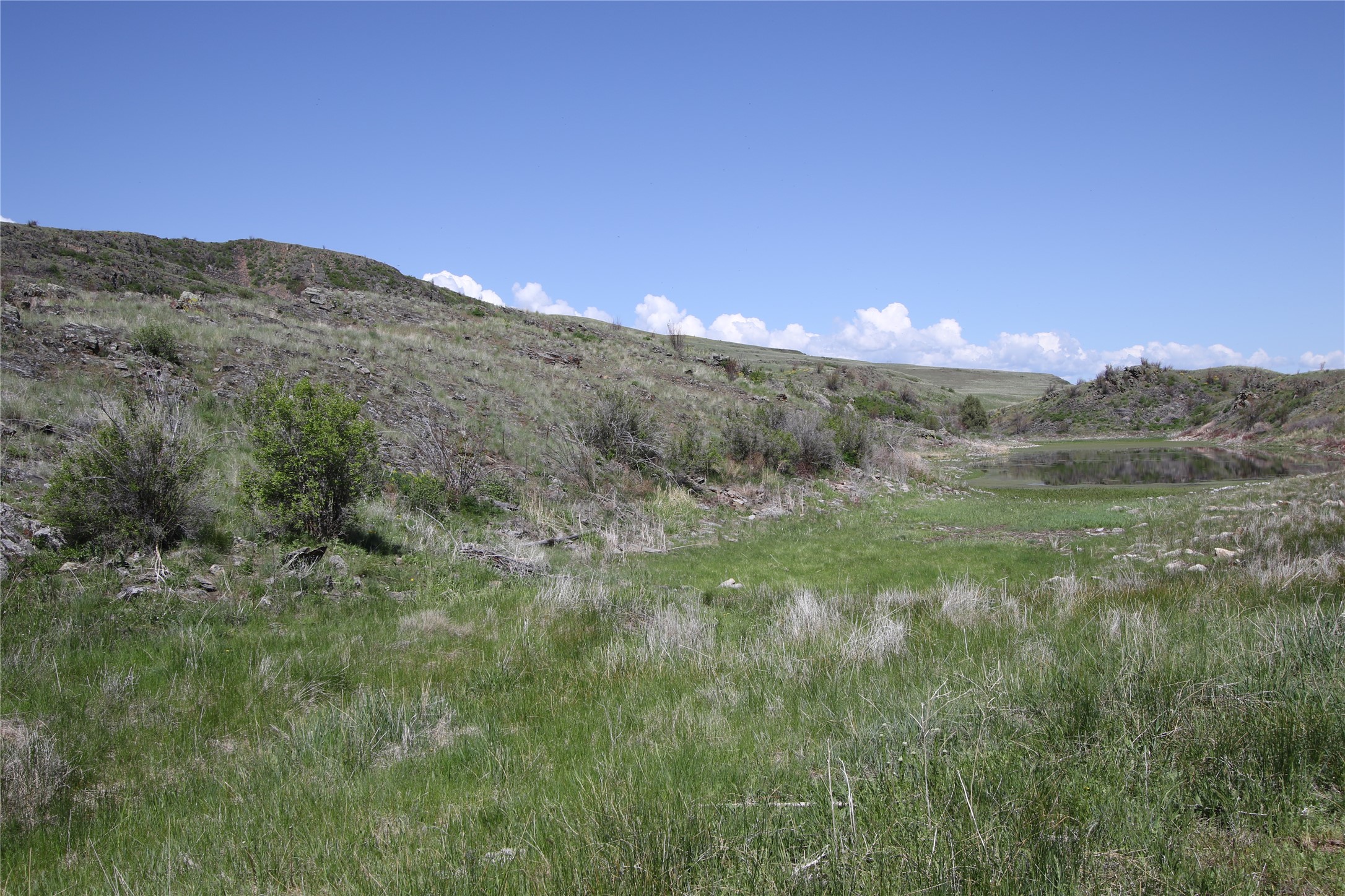 Tract 4 Wilks Gulch Road