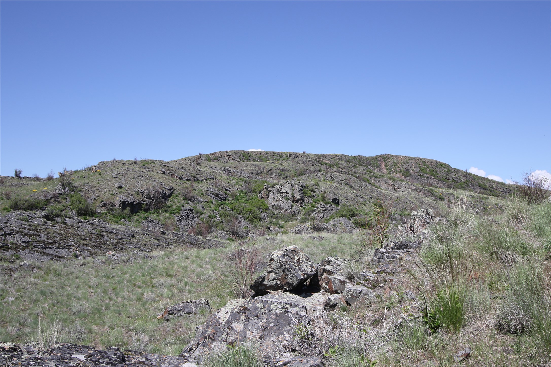 Tract 4 Wilks Gulch Road