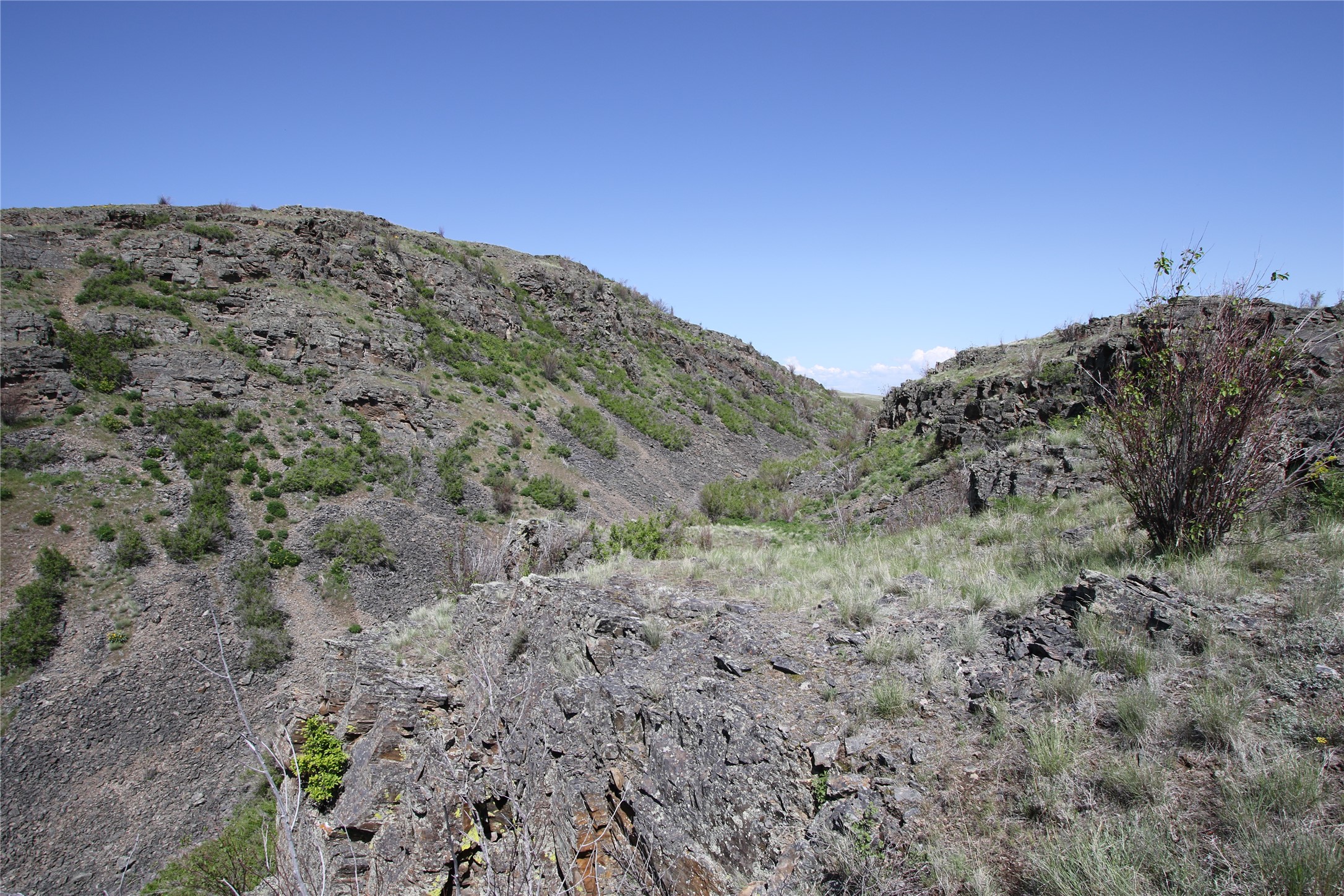 Tract 4 Wilks Gulch Road