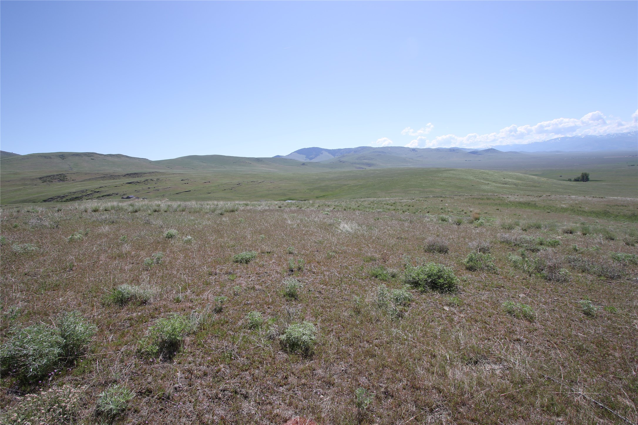 Tract 4 Wilks Gulch Road