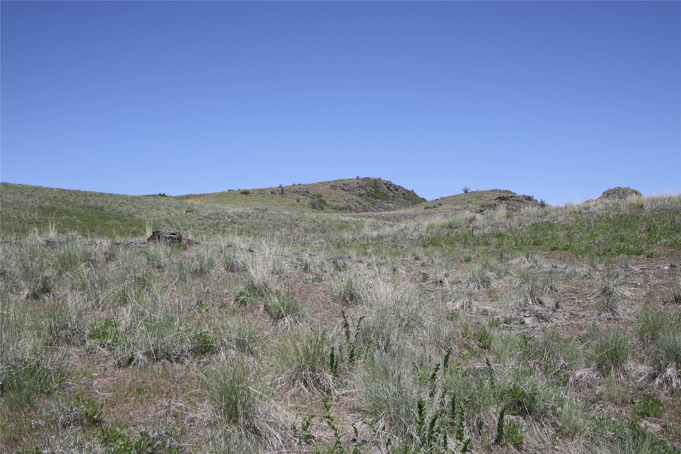 Tract 4 Wilks Gulch Road