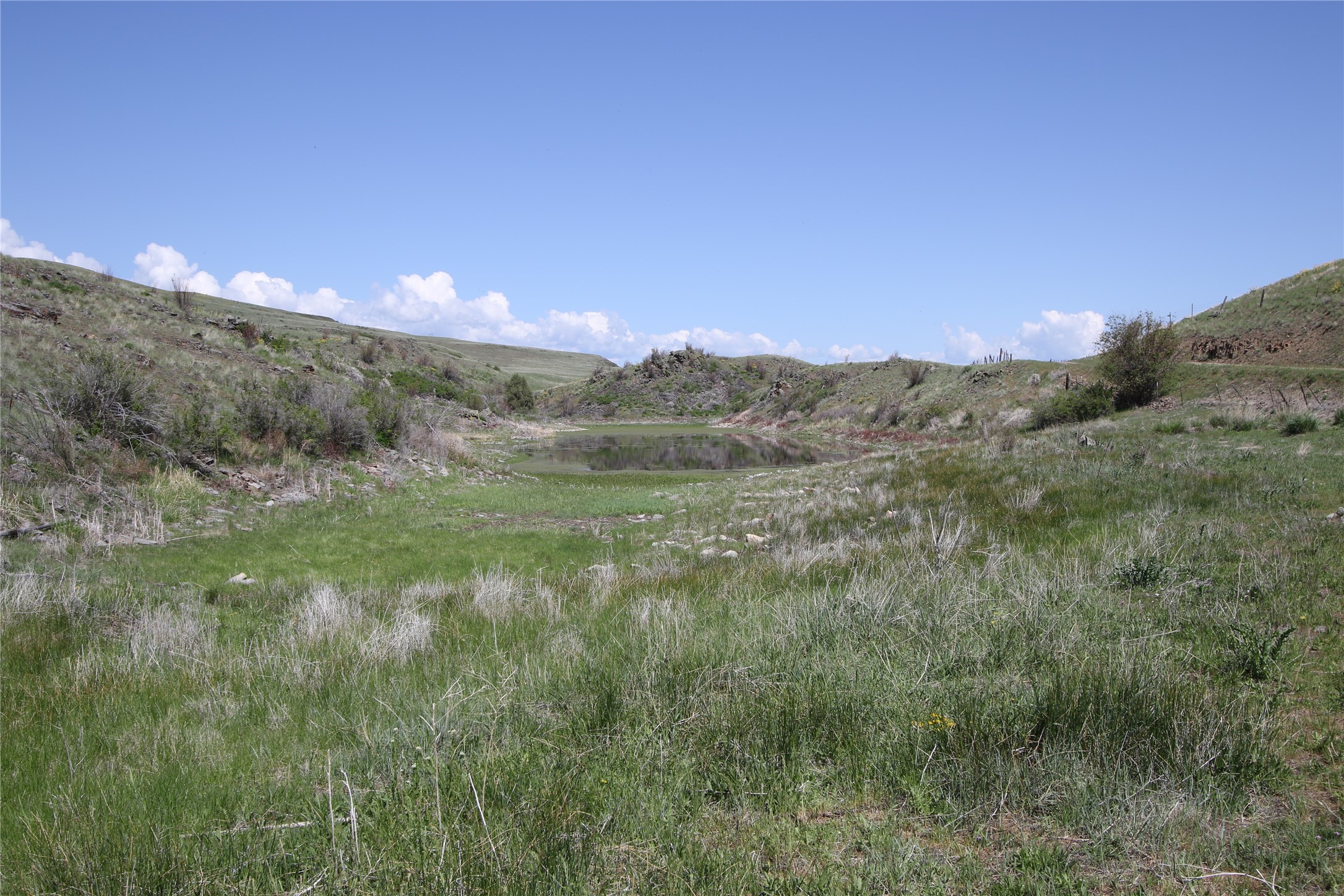 Tract 4 Wilks Gulch Road