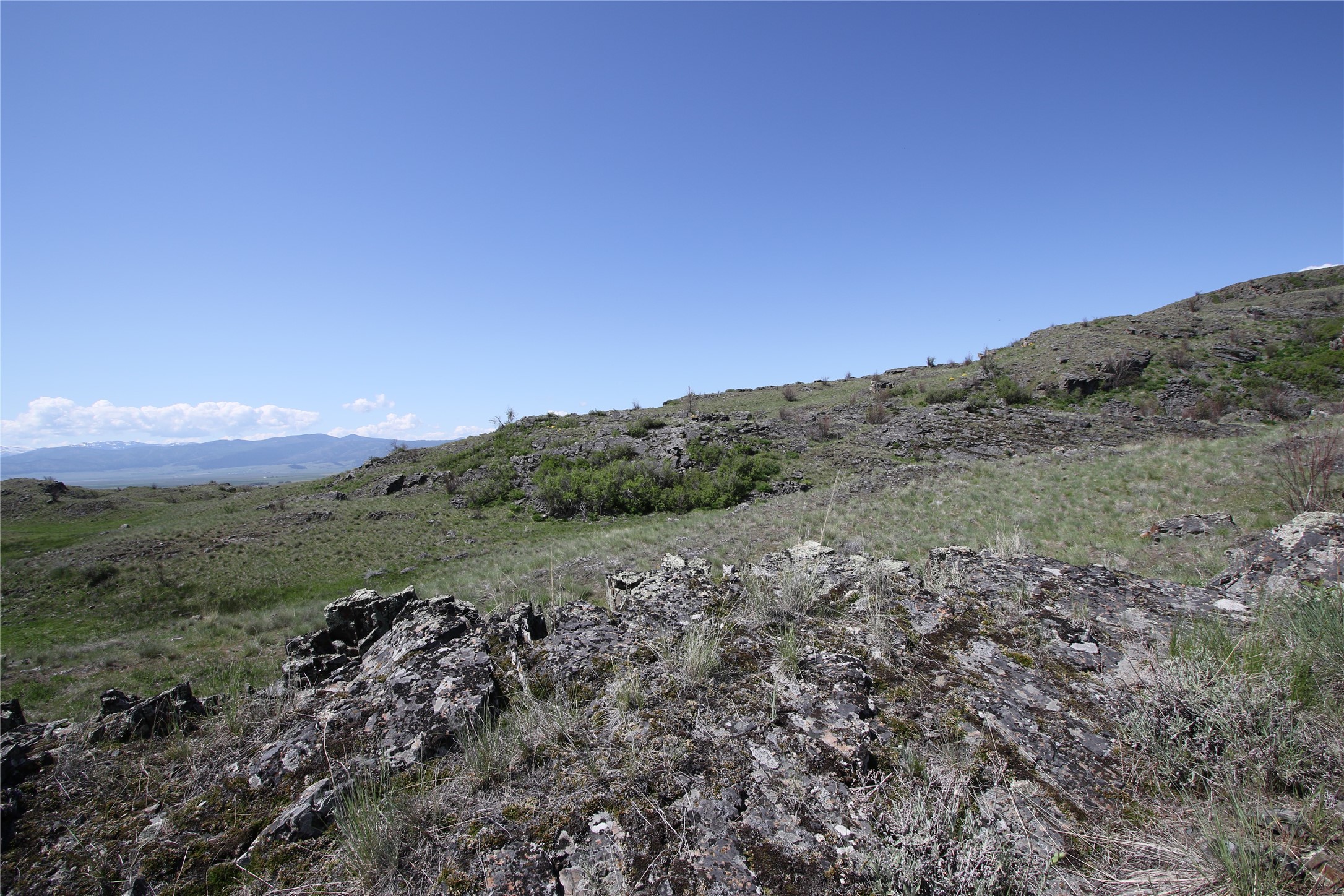 Tract 4 Wilks Gulch Road