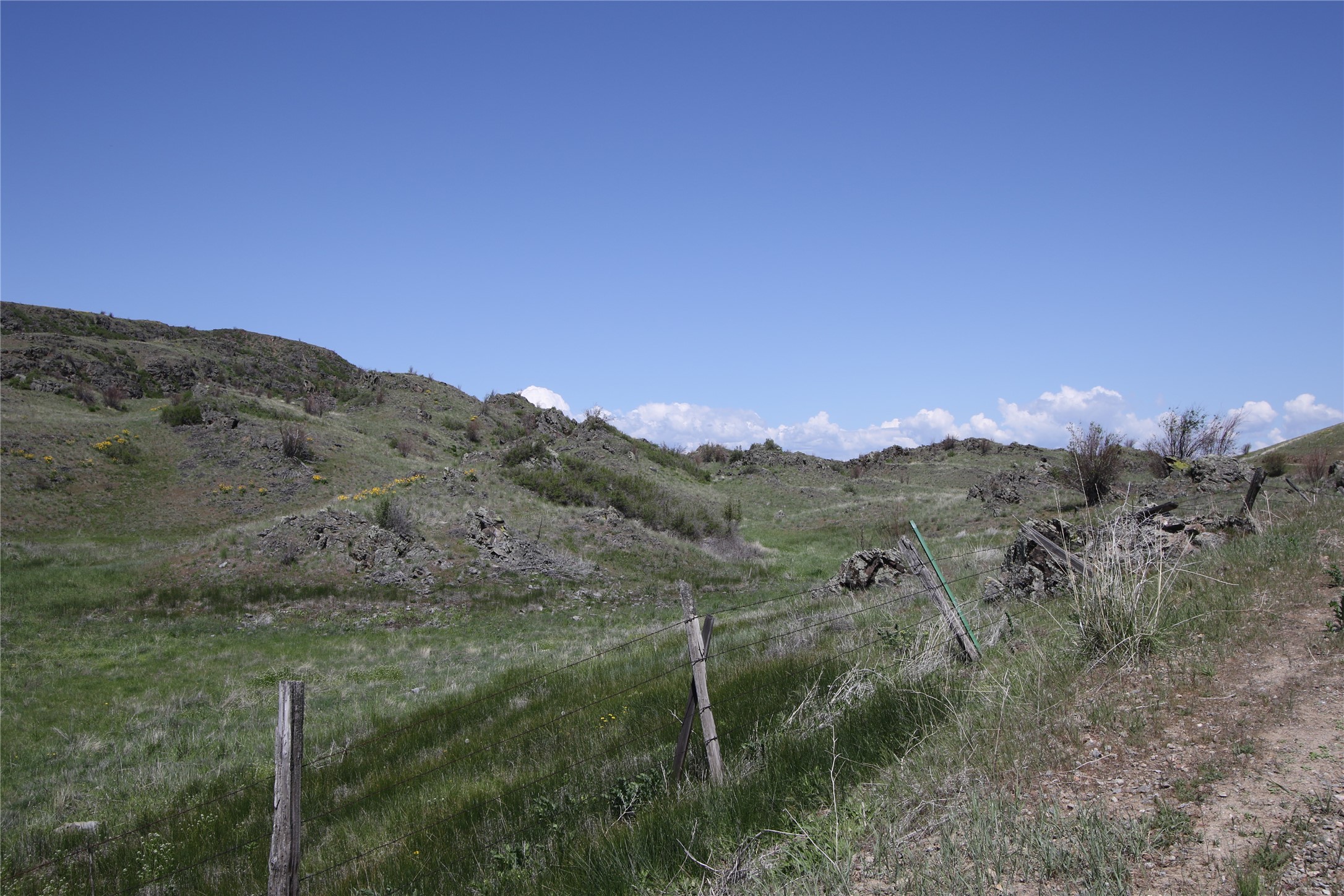 Tract 4 Wilks Gulch Road