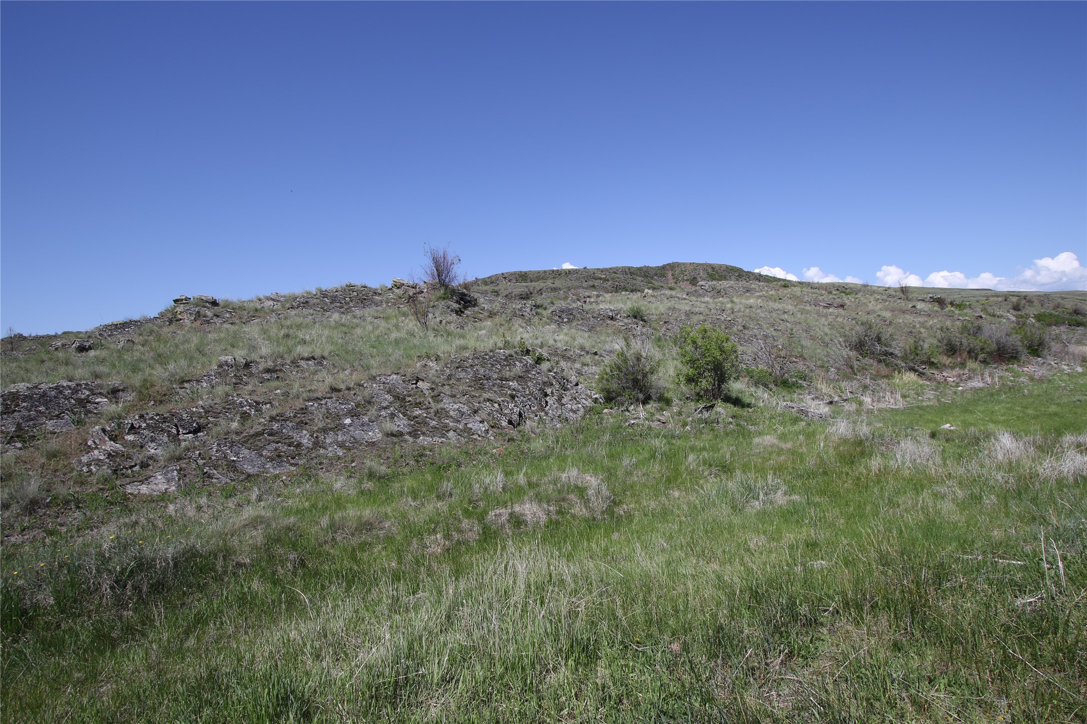 Tract 4 Wilks Gulch Road