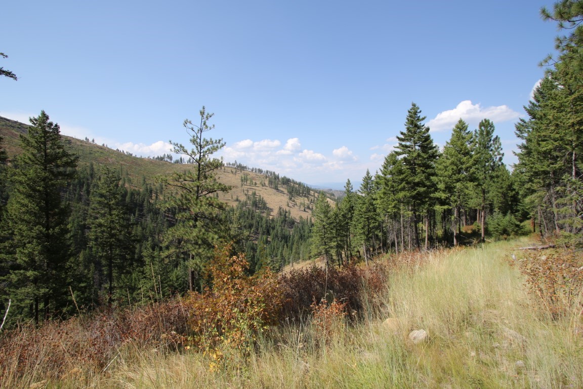 NHN E Fork Combest Creek