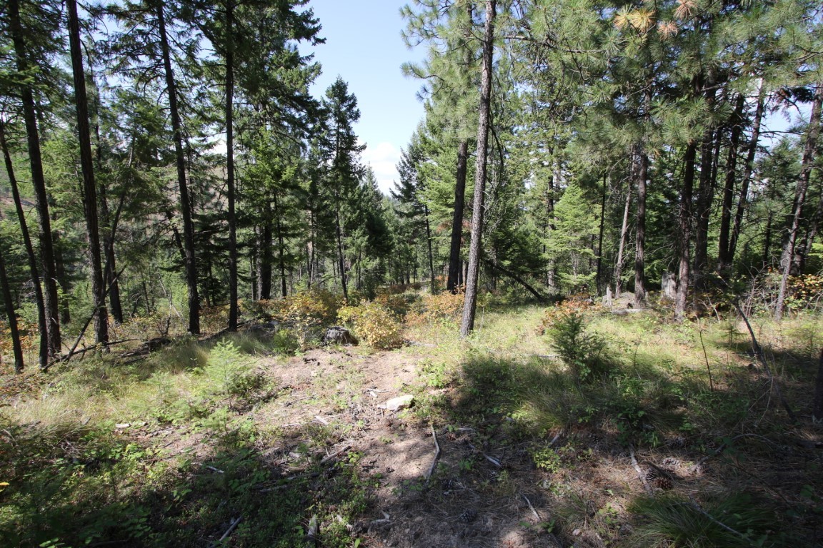 NHN E Fork Combest Creek