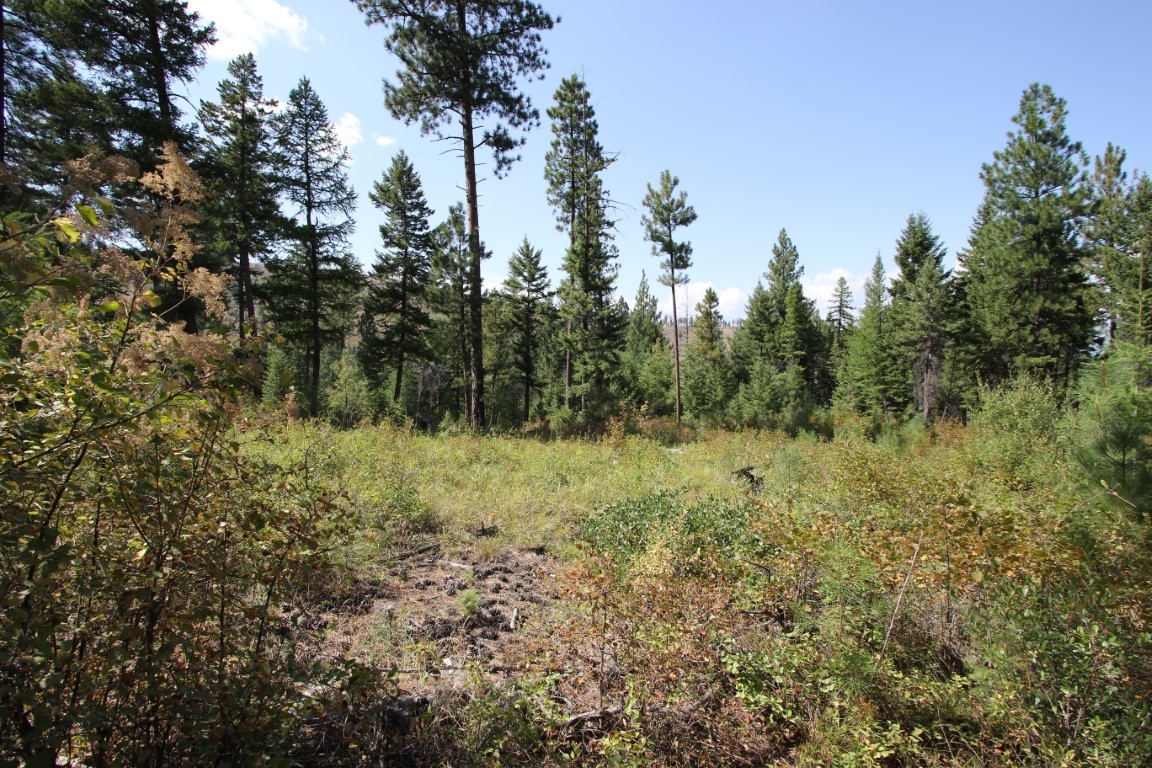 NHN E Fork Combest Creek