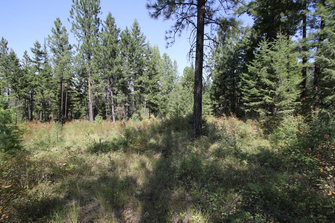 NHN E Fork Combest Creek