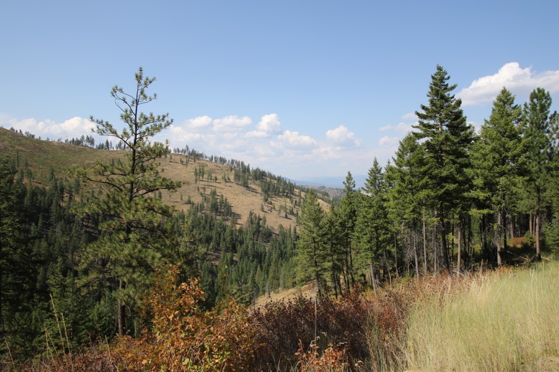 NHN E Fork Combest Creek