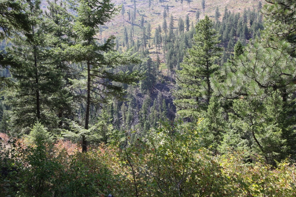 NHN E Fork Combest Creek