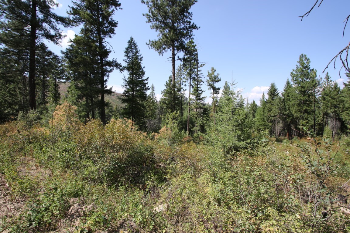 NHN E Fork Combest Creek