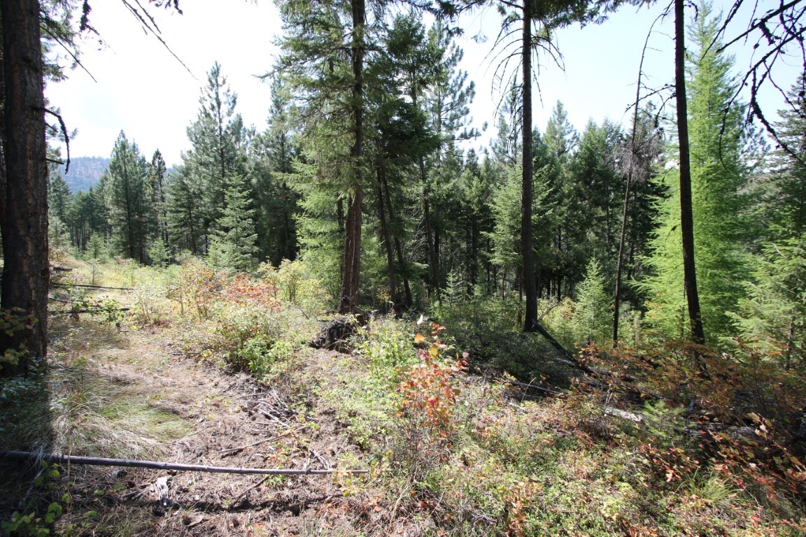 NHN E Fork Combest Creek