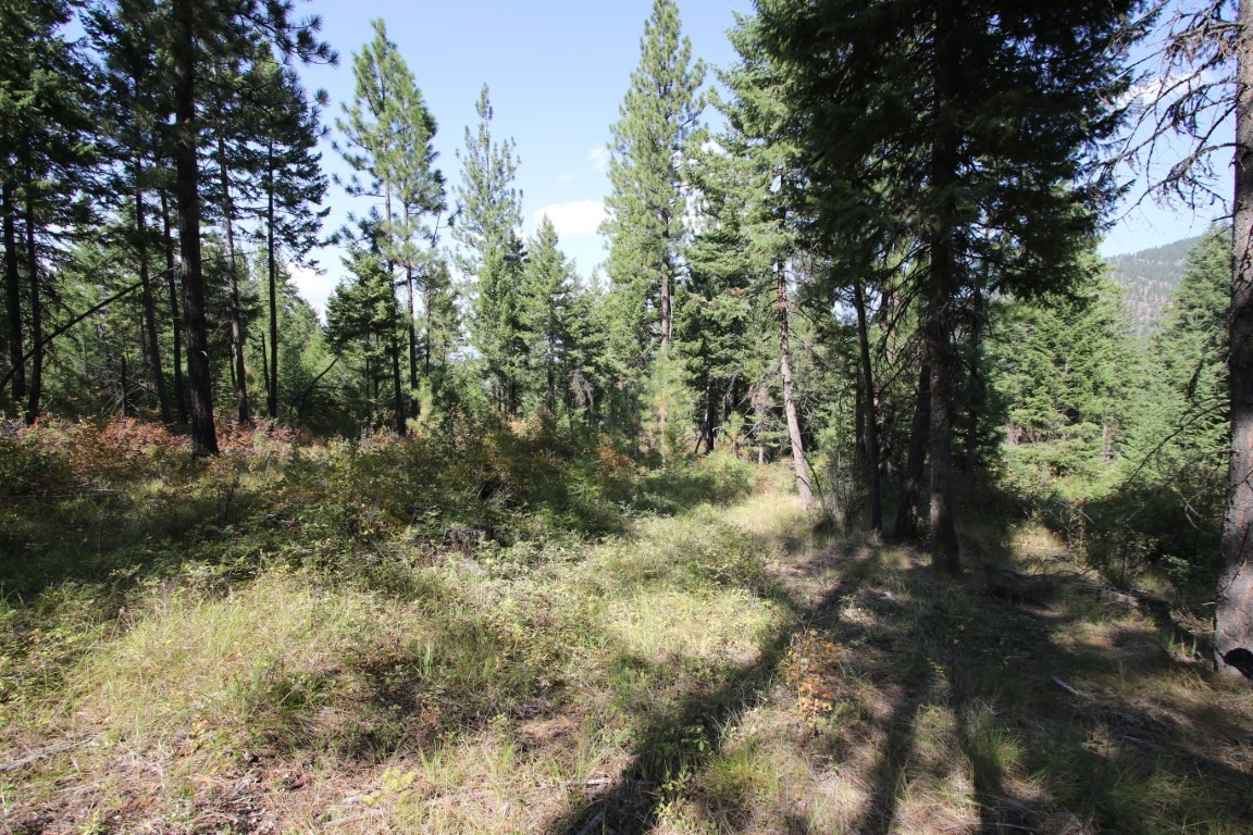 NHN E Fork Combest Creek