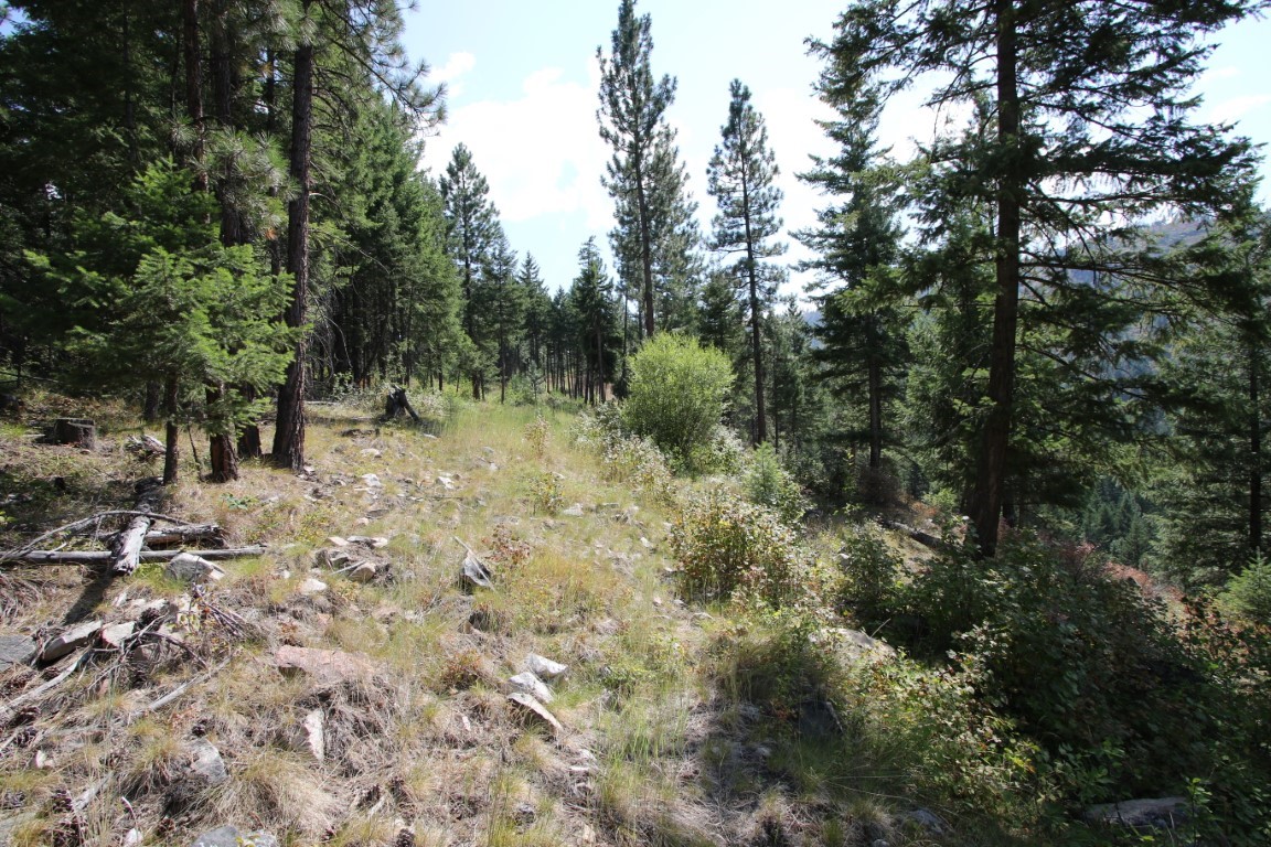 NHN E Fork Combest Creek