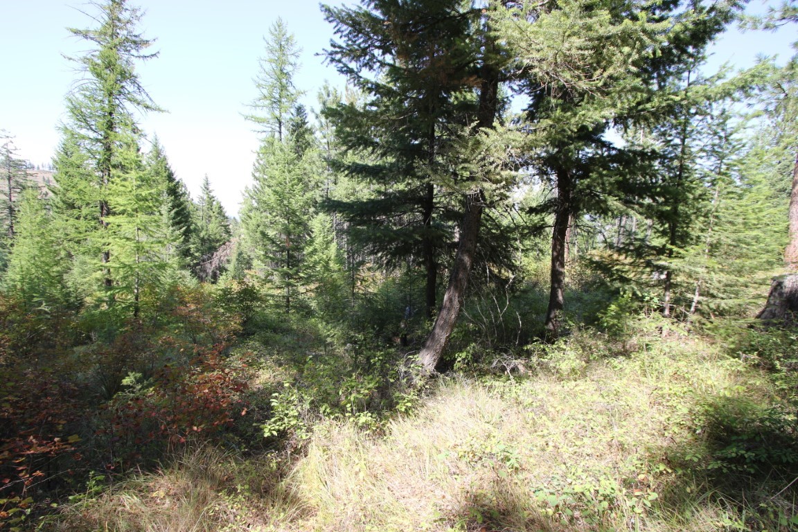 NHN E Fork Combest Creek