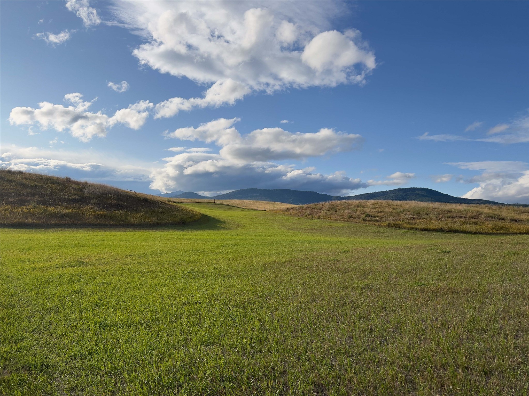 29 Walking Horse Way