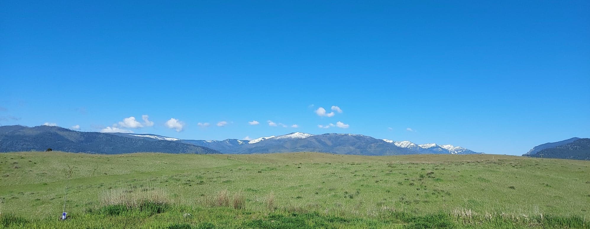 29 Walking Horse Way