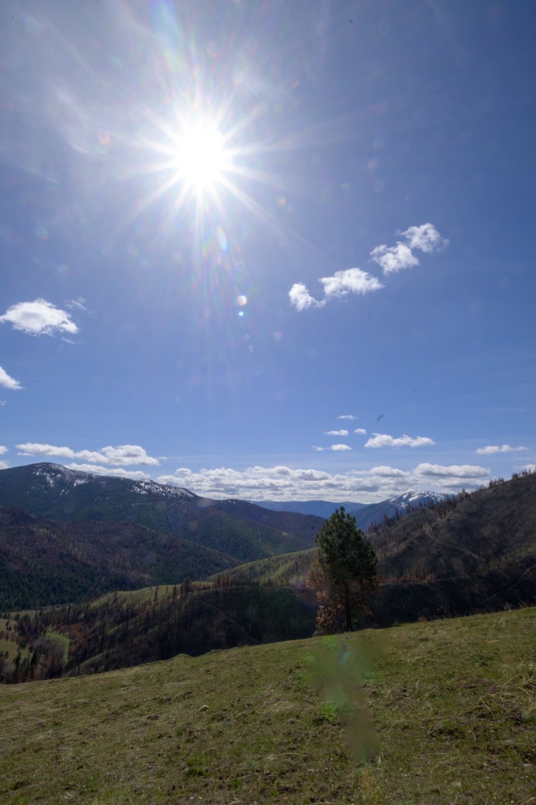 NHN McLaughlin Creek Road