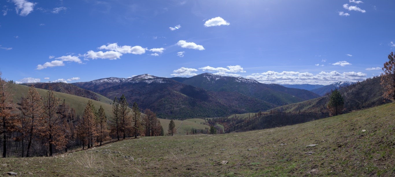 NHN McLaughlin Creek Road