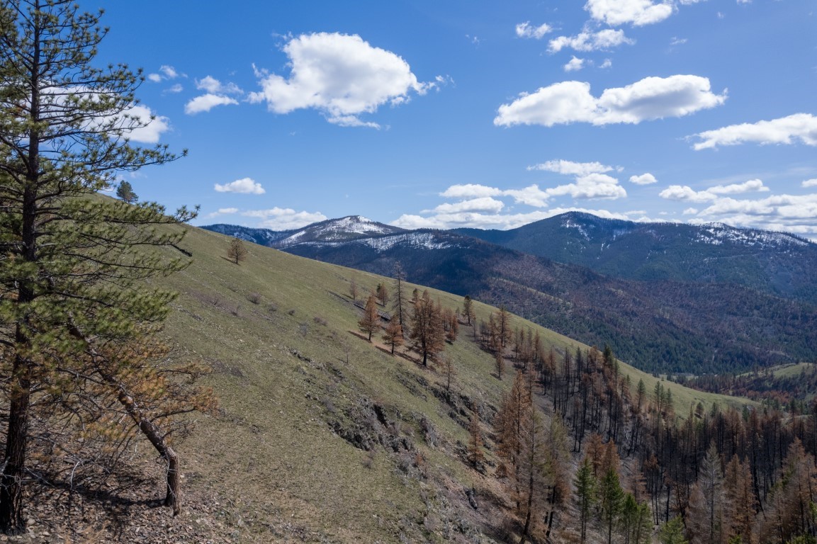 NHN McLaughlin Creek Road