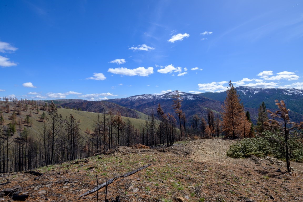 NHN McLaughlin Creek Road