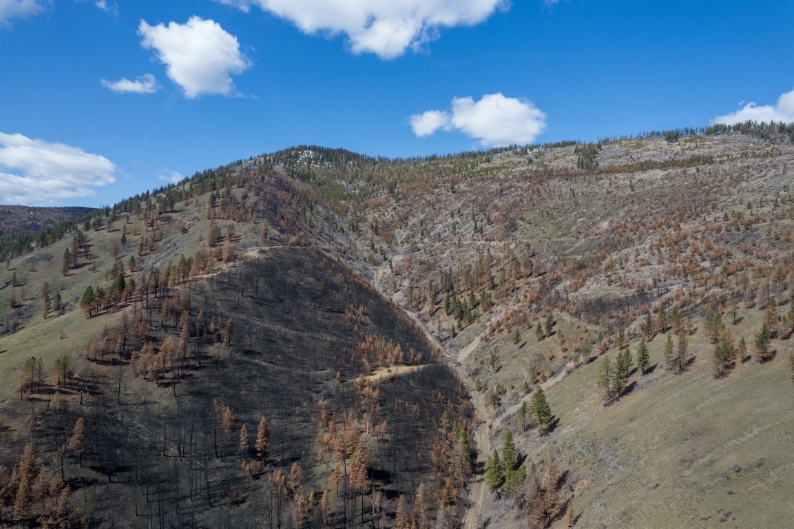 NHN McLaughlin Creek Road