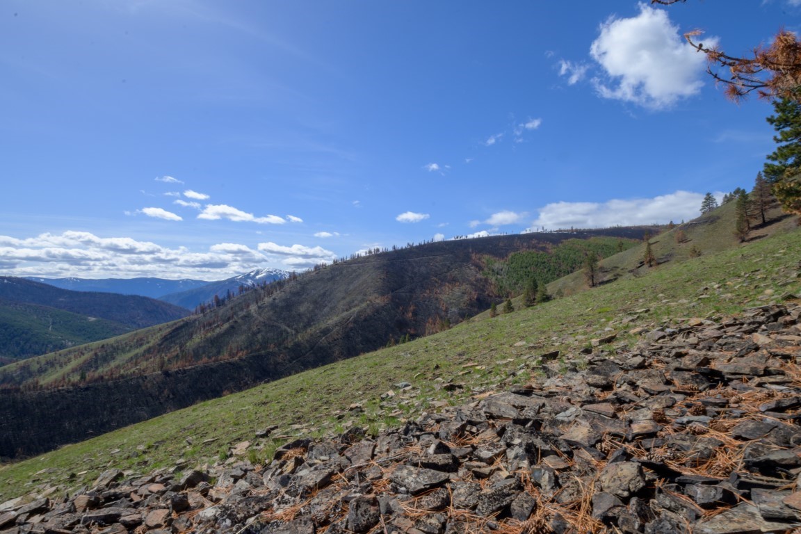 NHN McLaughlin Creek Road