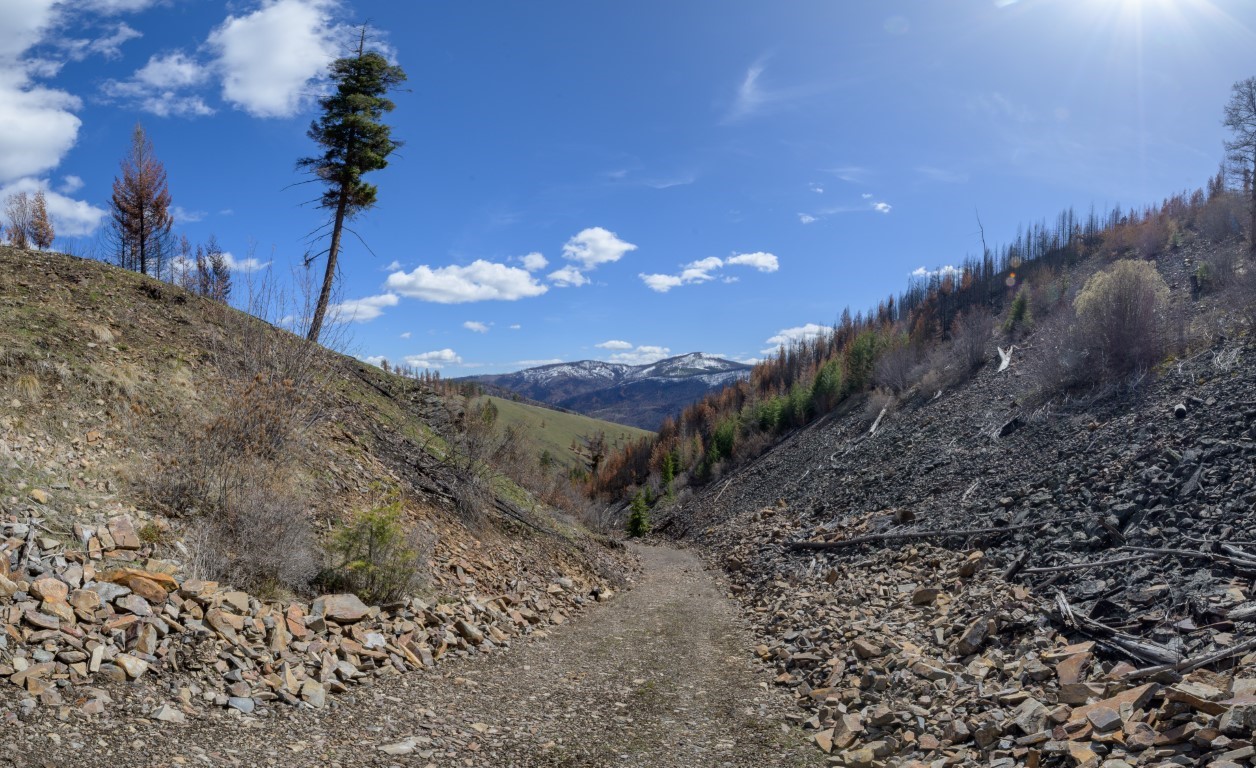 NHN McLaughlin Creek Road