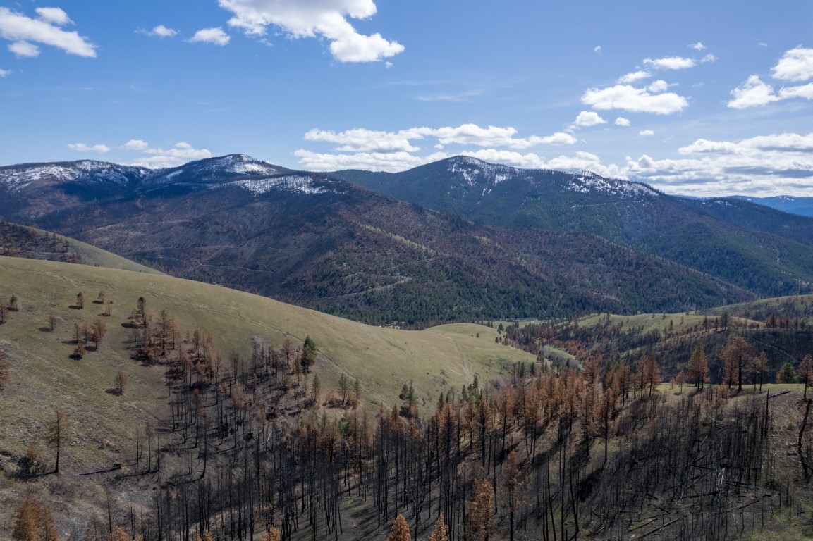NHN McLaughlin Creek Road