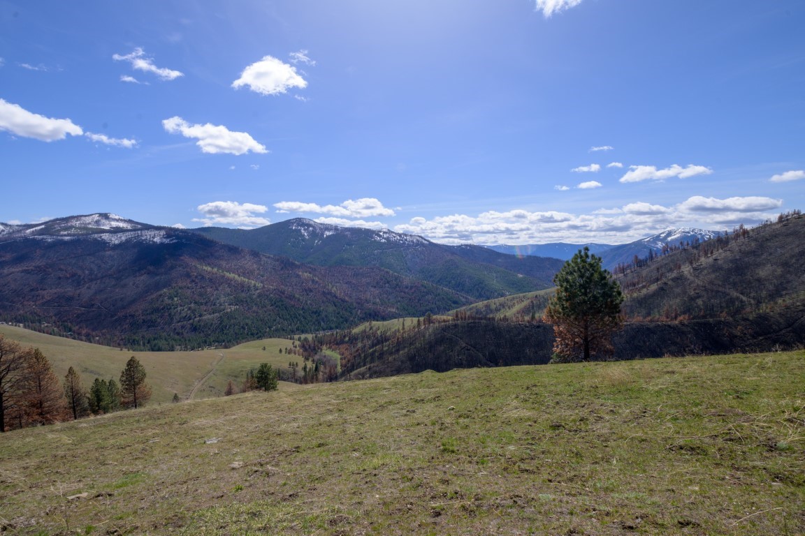 NHN McLaughlin Creek Road