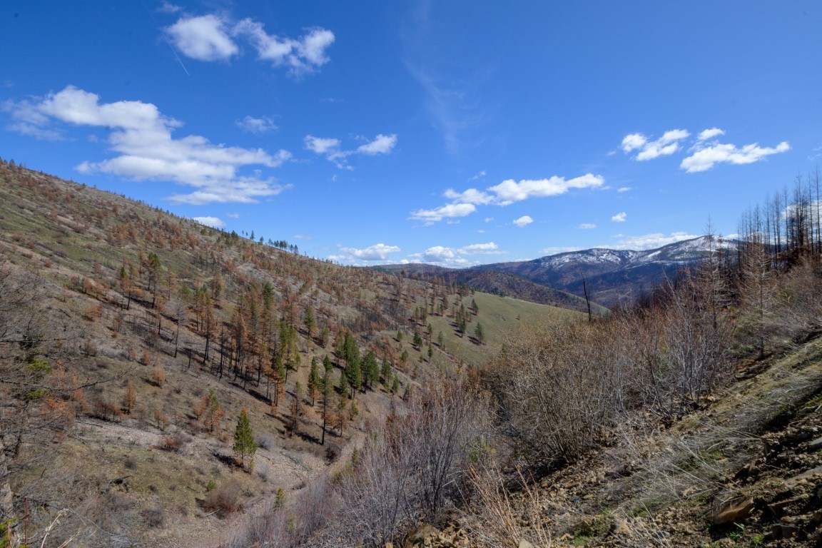 NHN McLaughlin Creek Road