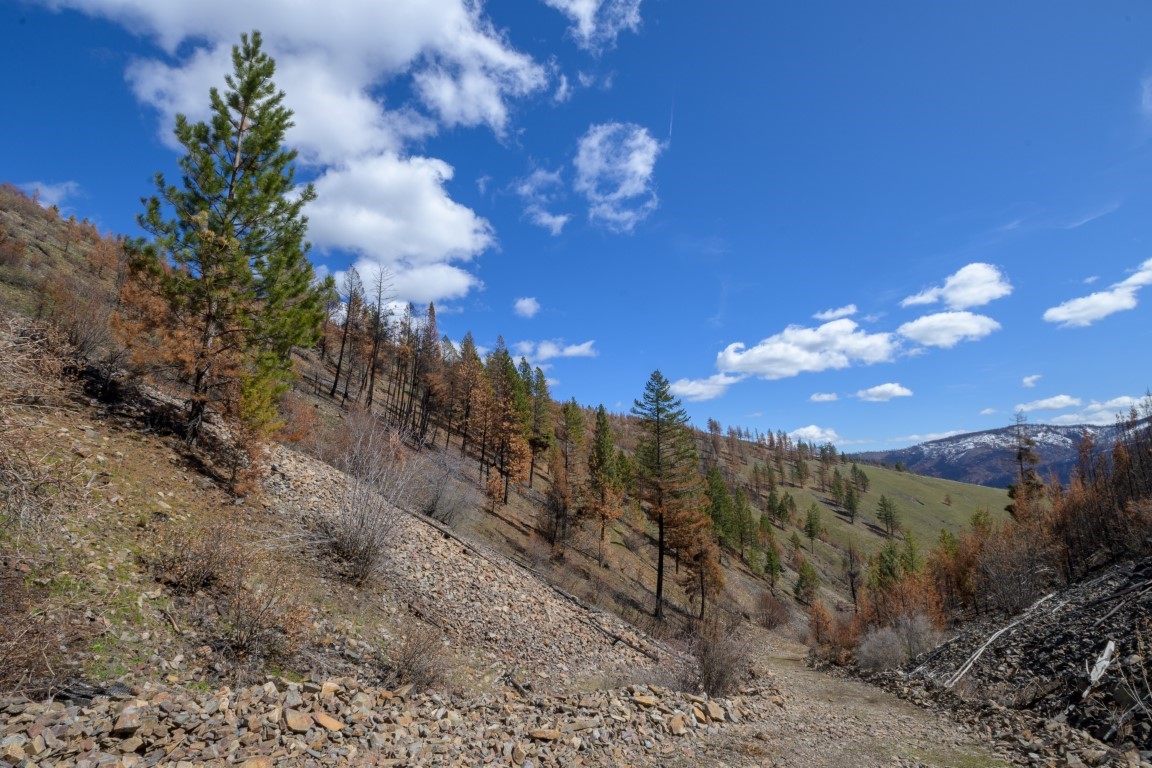 NHN McLaughlin Creek Road