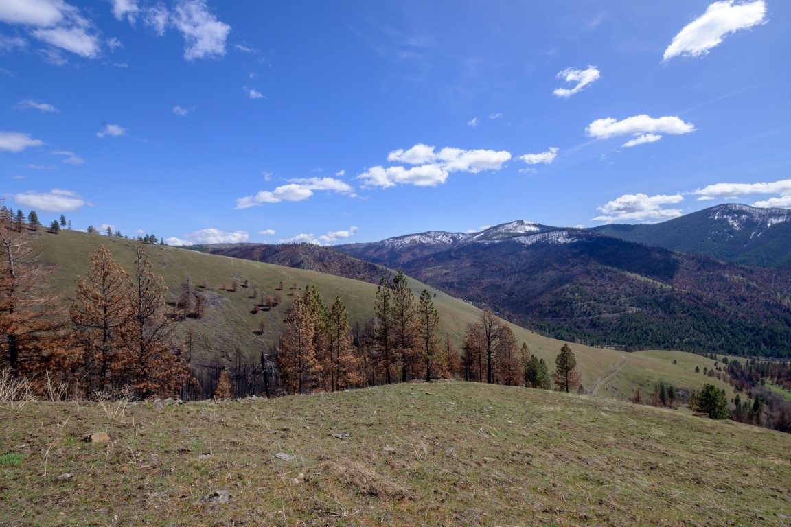 NHN McLaughlin Creek Road