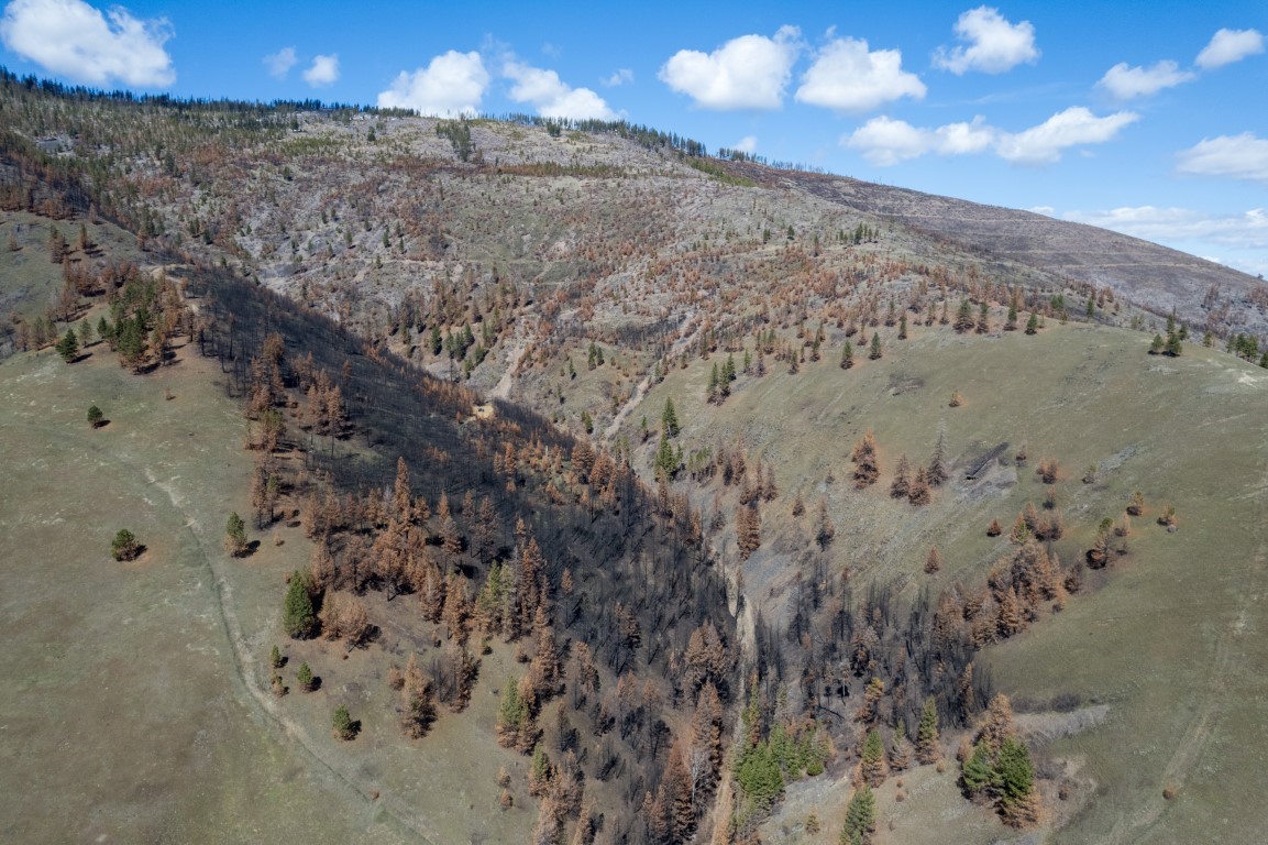 NHN McLaughlin Creek Road