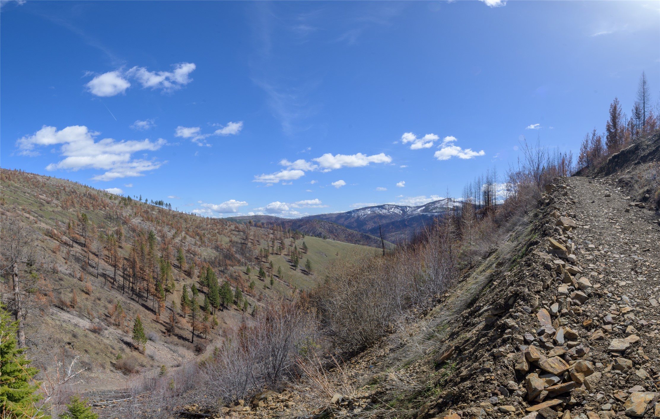 NHN McLaughlin Creek Road