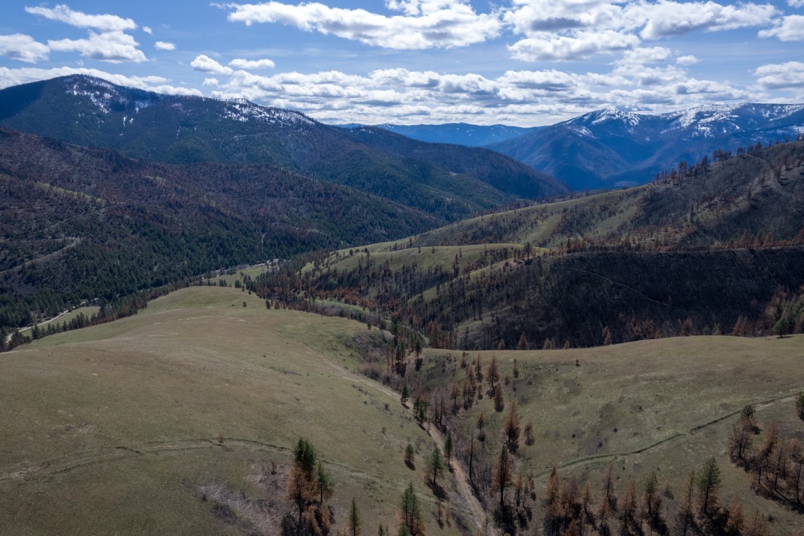 NHN McLaughlin Creek Road