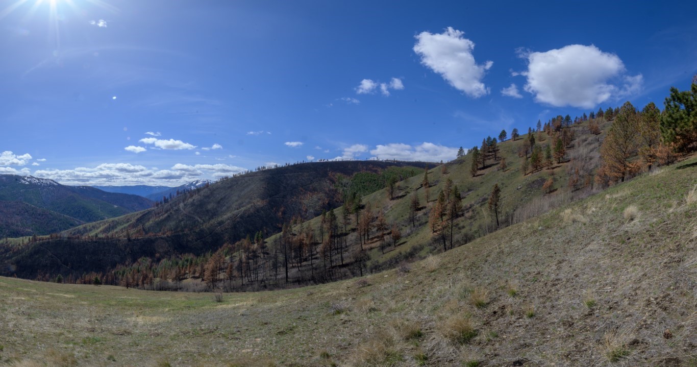 NHN McLaughlin Creek Road