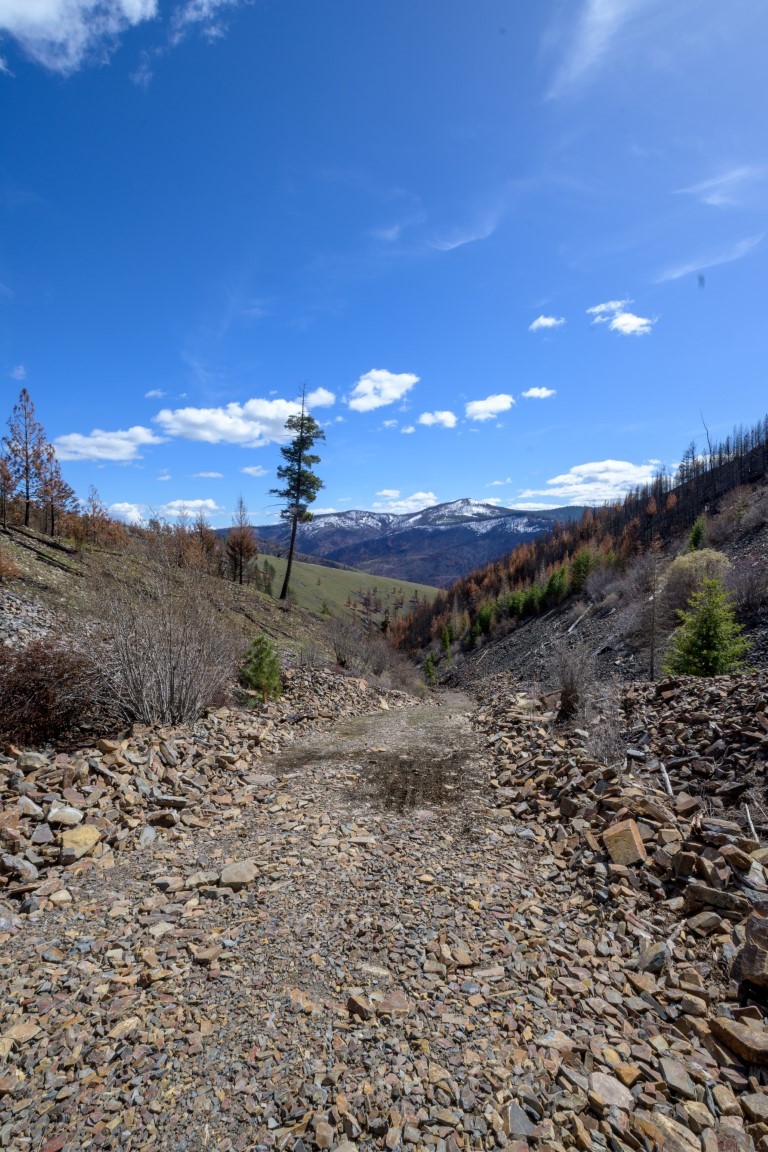 NHN McLaughlin Creek Road